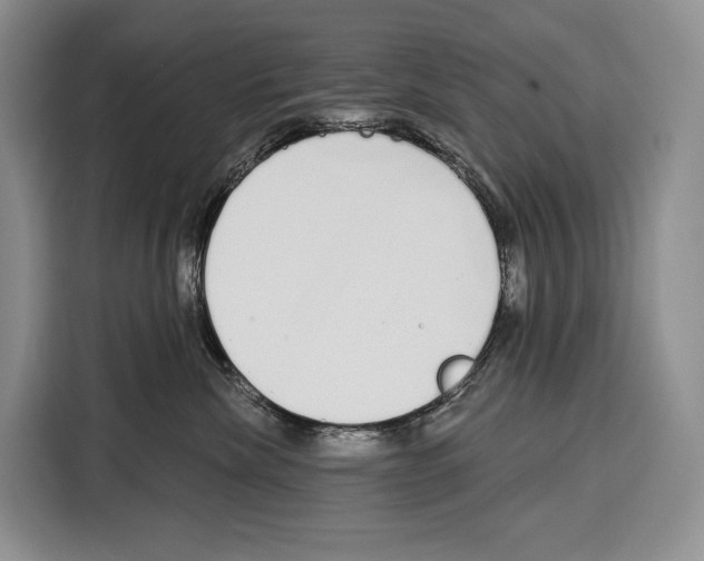 X0000115110476200911241331