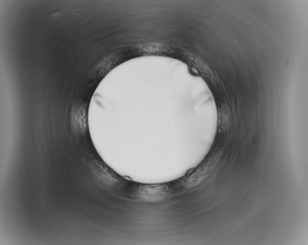 X0000115110479200911241331