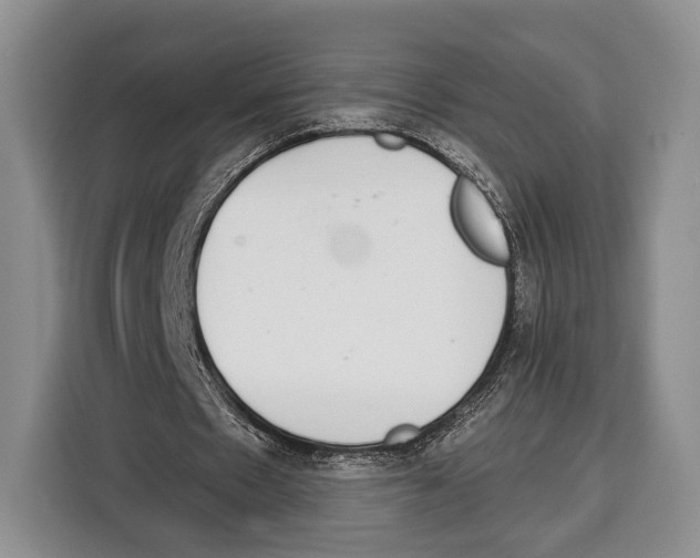 X0000115110481200911241330