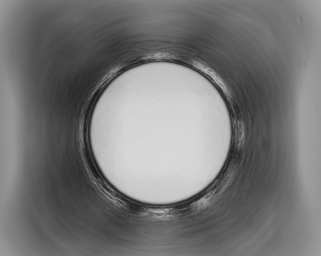 X0000115110482200911241330