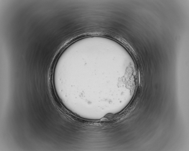 X0000115110483200911241330