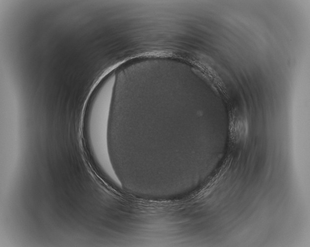 X0000115110484200911241330