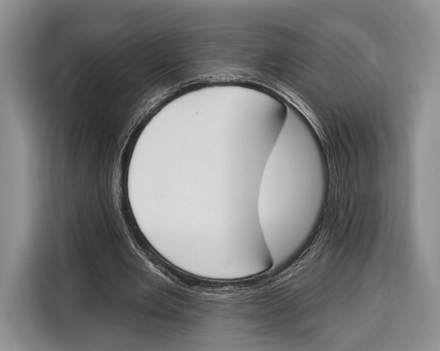 X0000115110485200911241330