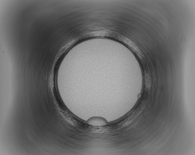 X0000115110486200911241330