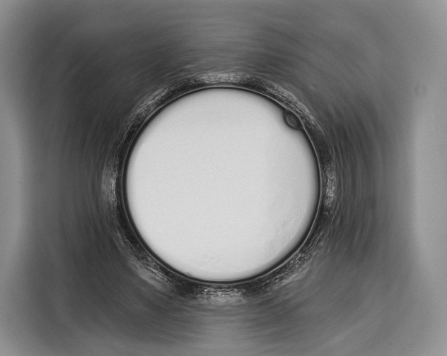 X0000115110491200911241330