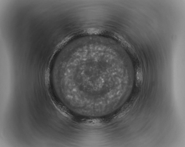 X0000115110492200911241330