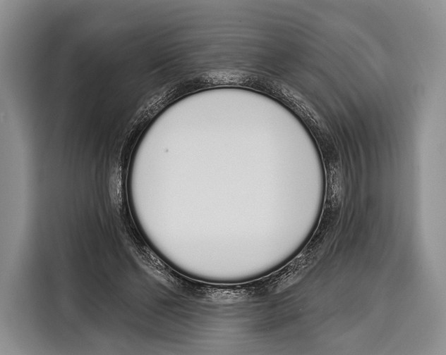 X0000115110494200911241330