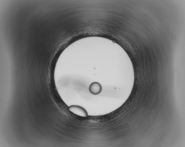 X0000115110496200911241330