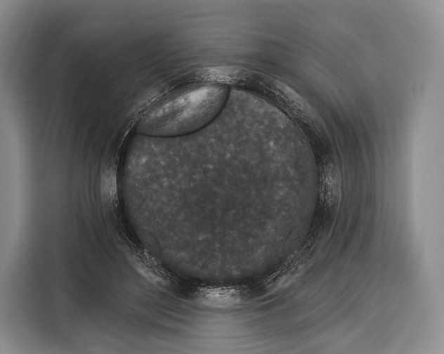 X0000115110500200911241330