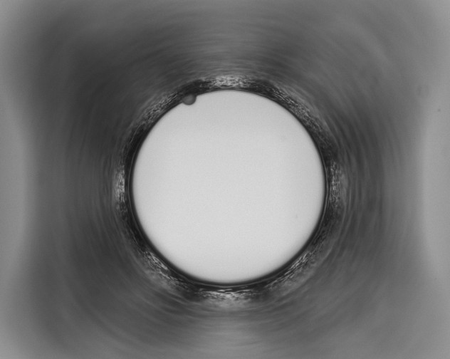 X0000115110502200911241330