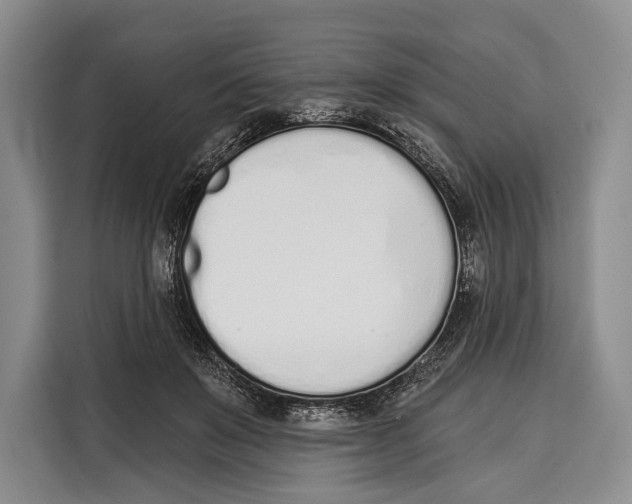 X0000115110503200911241330