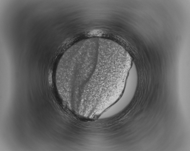 X0000115110504200911241330