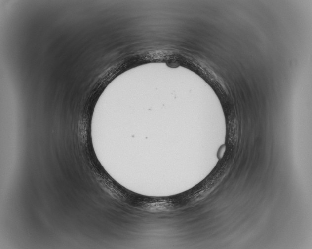 X0000115110505200911241330