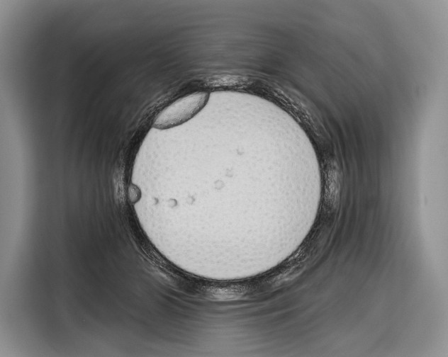 X0000115110510200911241330