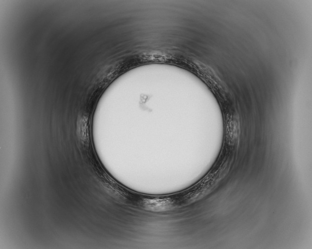 X0000115110511200911241330