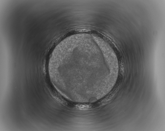 X0000115110512200911241330