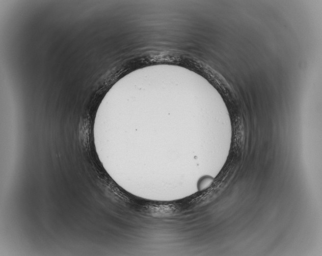 X0000115110513200911241330