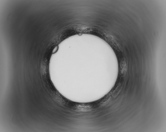 X0000115110515200911241330