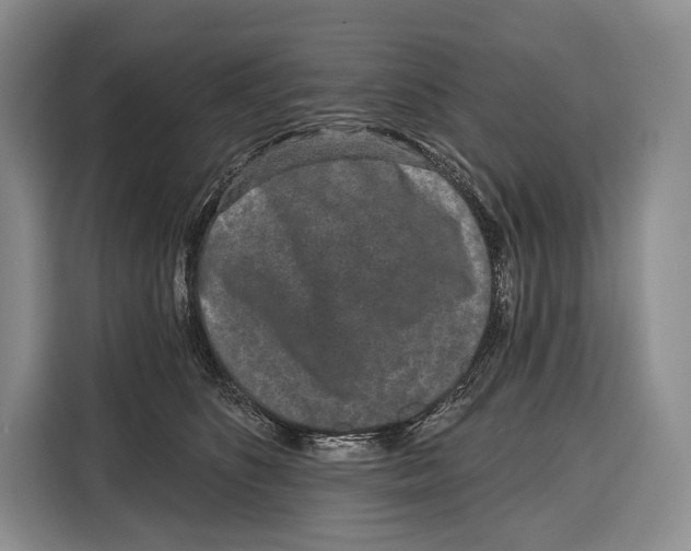 X0000115110516200911241330