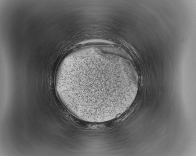 X0000115110517200911241330