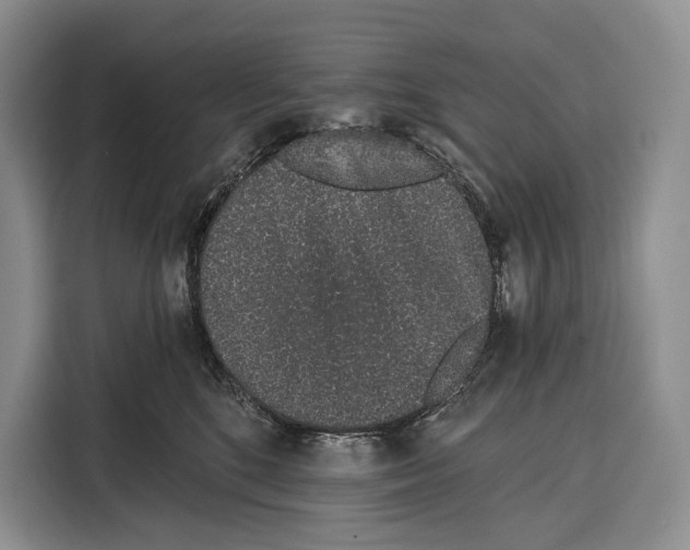 X0000115110520200911241330