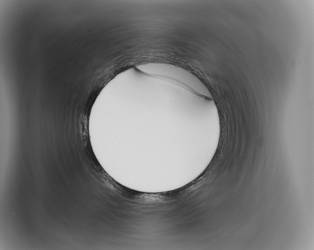 X0000115110528200911241330