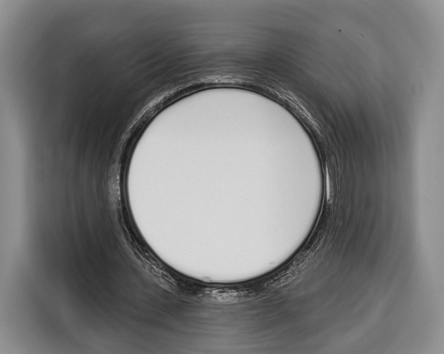 X0000115110531200911241329