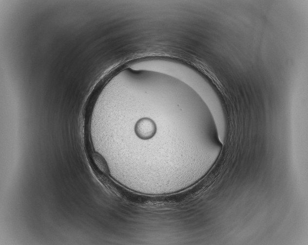 X0000115110534200911241329