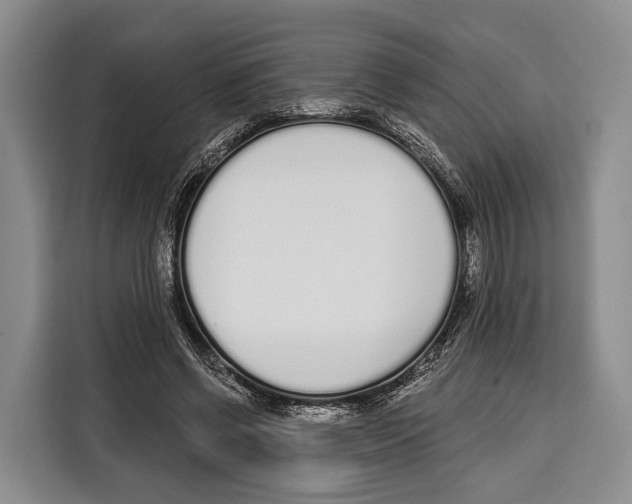 X0000115110542200911241329