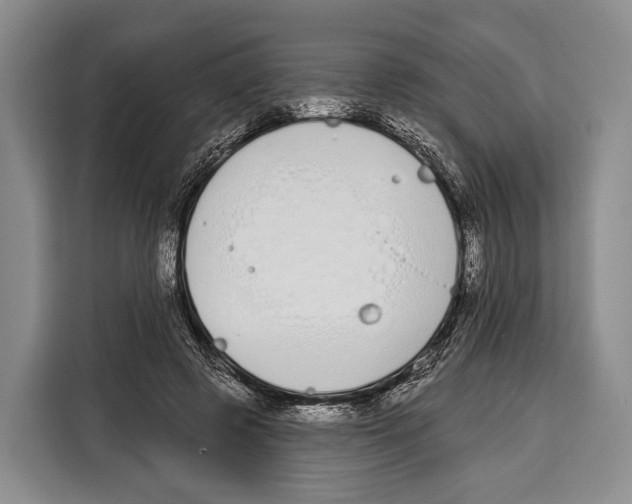 X0000115110545200911241329