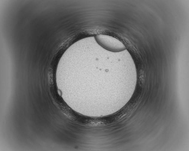 X0000115110547200911241329