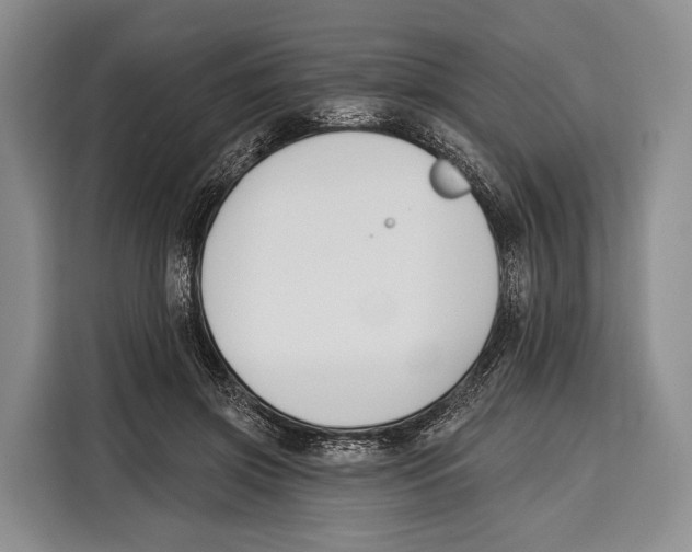 X0000115110549200911241329