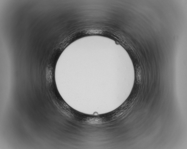 X0000115110551200911241329