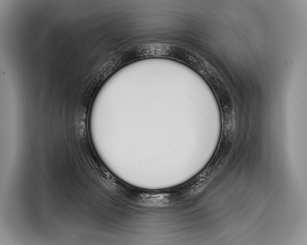 X0000115110553200911241329