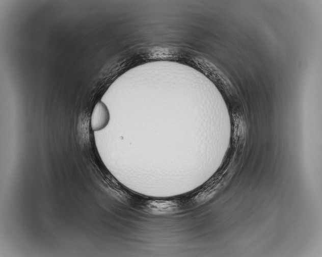 X0000115110557200911241329