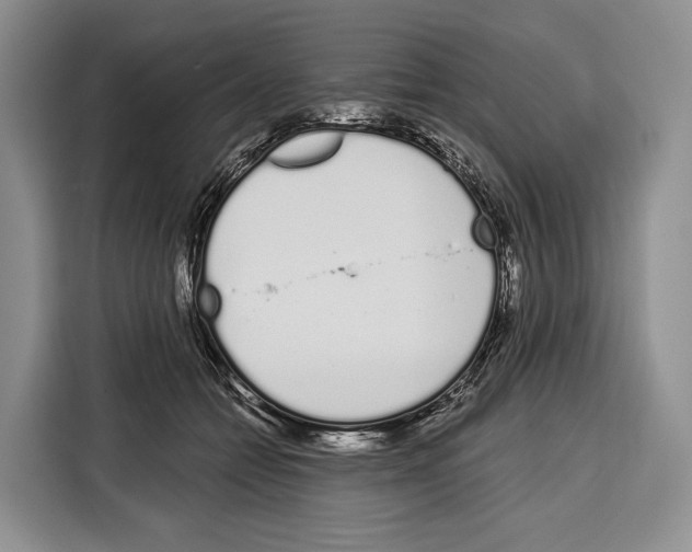 X0000115110558200911241329