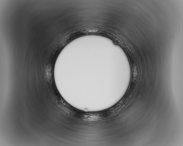 X0000115110559200911241329