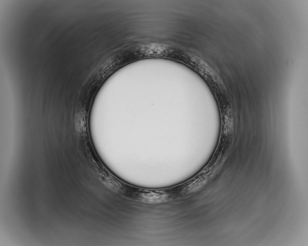 X0000115110561200911241329