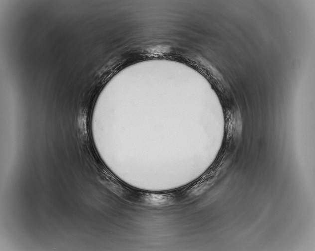 X0000115110565200911241329