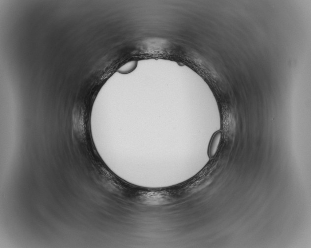 X0000115110566200911241329