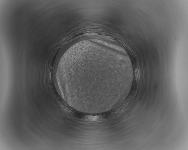 X0000115110570200911241329