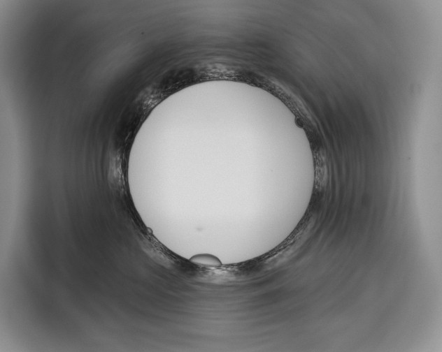 X0000115110573200911241329