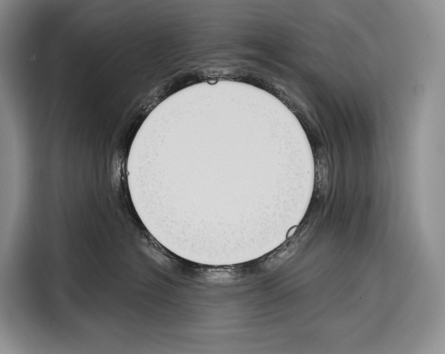 X0000115110574200911241329