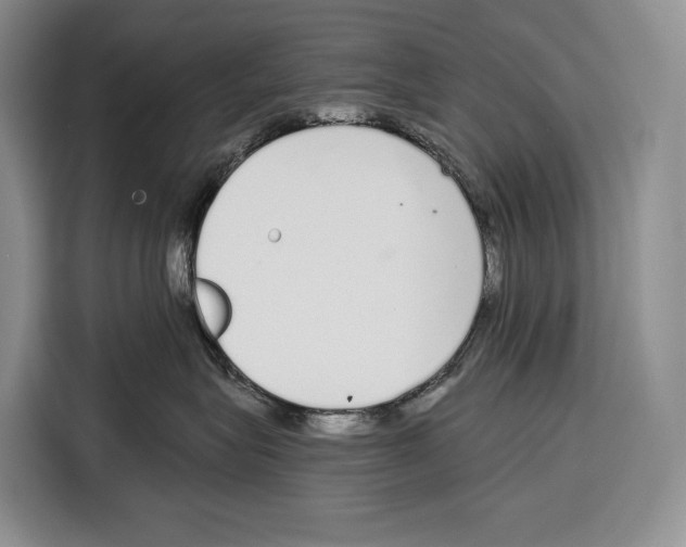 X0000115110575200911241329