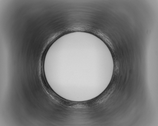 X0000115110578200911241329