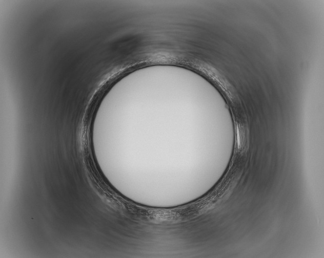 X0000115110579200911241329