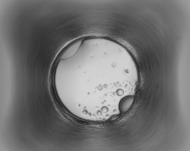 X0000115110580200911241329