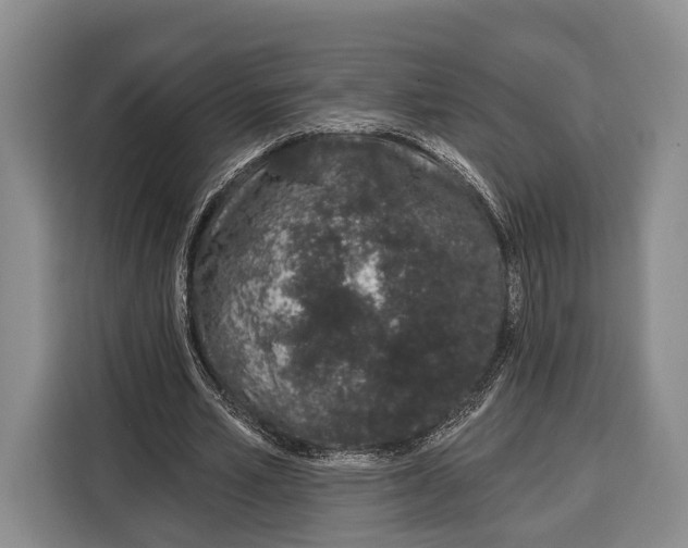 X0000115110581200911241329