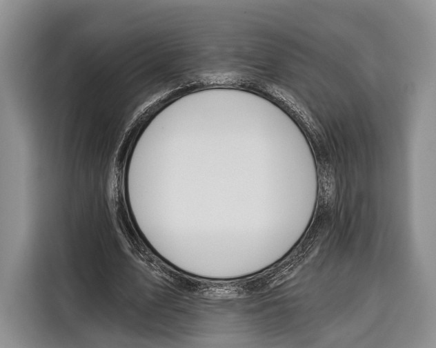 X0000115110583200911241329