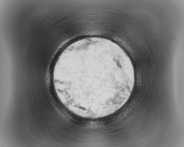 X0000115110584200911241329